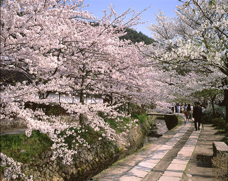 철학의 길