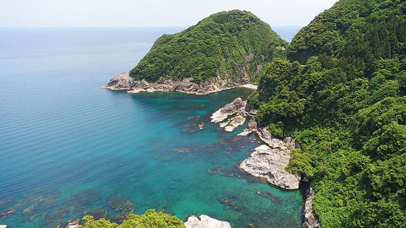 단고 반도