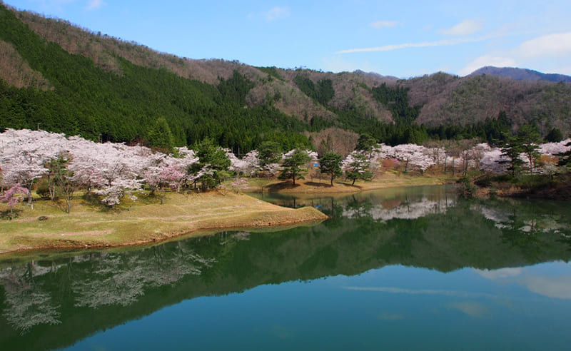 南丹市美山町　大野地区