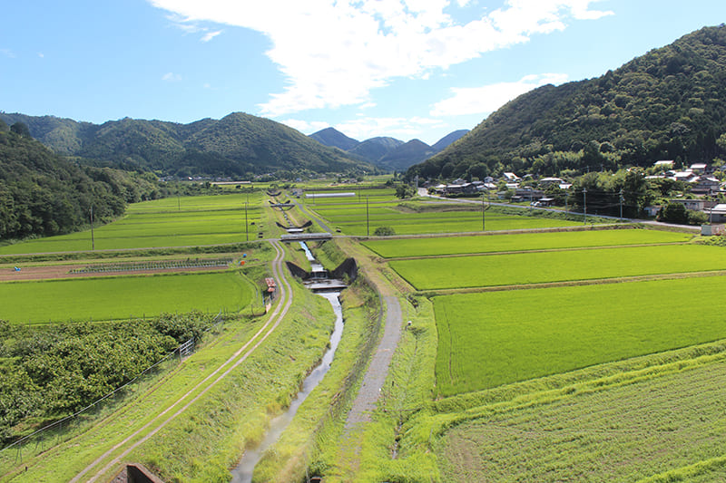 Kyotamba Town