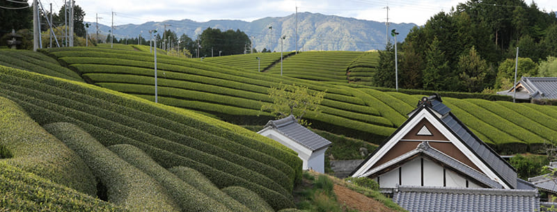 Minamiyamashiro Village