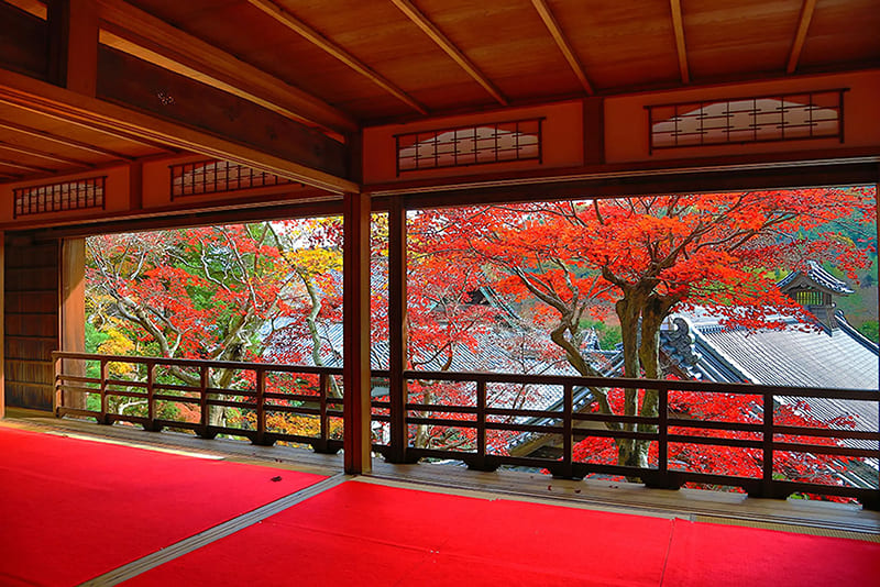 柳谷観音楊谷寺