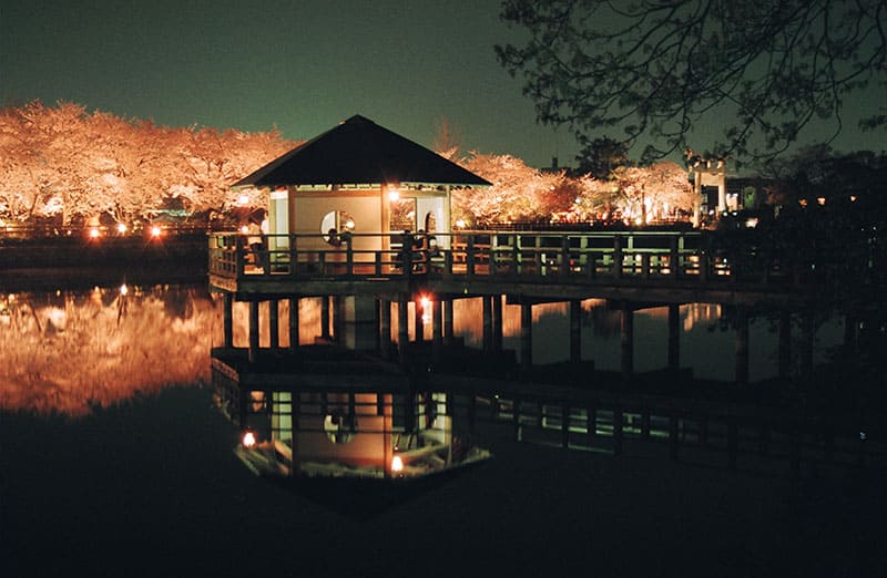 八条ヶ池