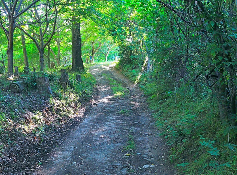Tatsuta Kodo Road / Kamenose