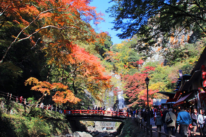 Minoh City