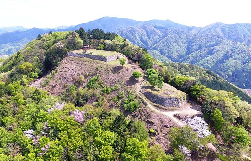 Arikoyama Castle Ruins