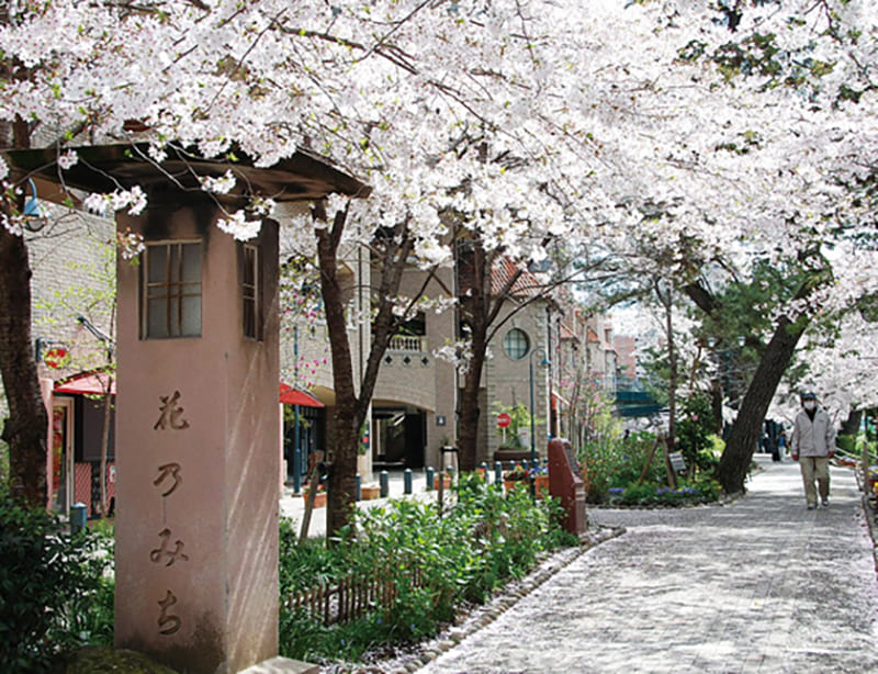 花のみち（宝塚駅～宝塚大劇場）