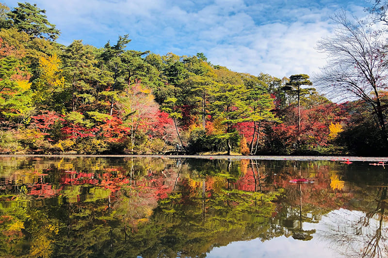 神戸市立森林植物園