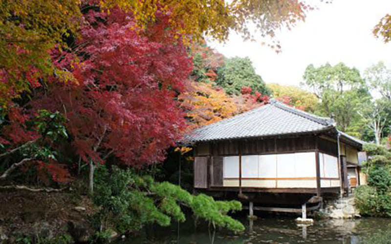 Tatsuno City