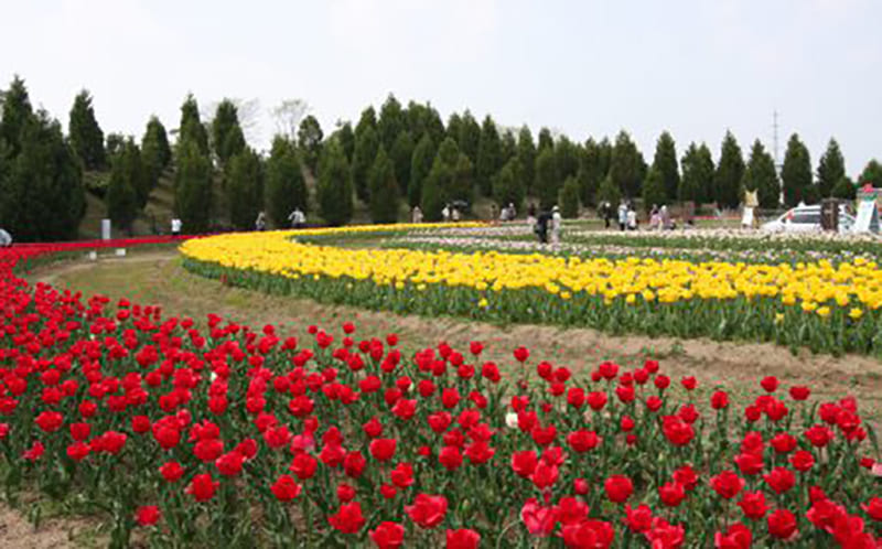 Kamigori Town