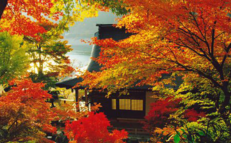 Shiso City