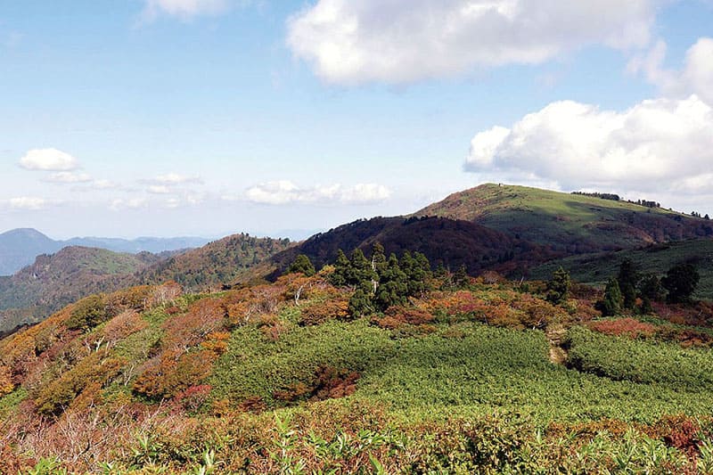 上山高原