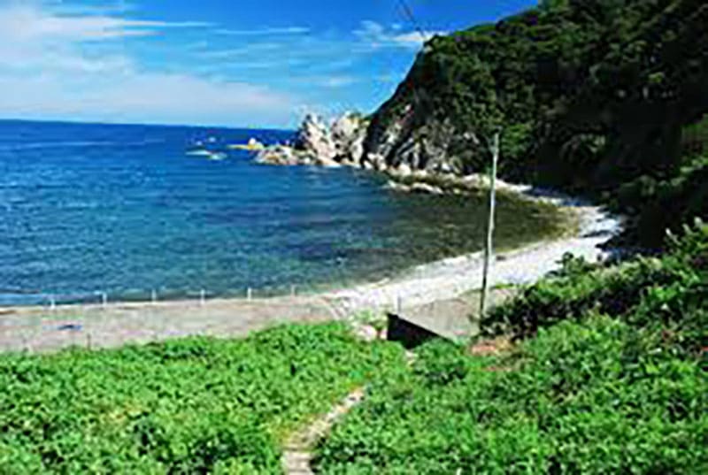 田井ノ浜海岸