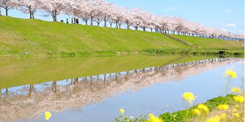 Ono City