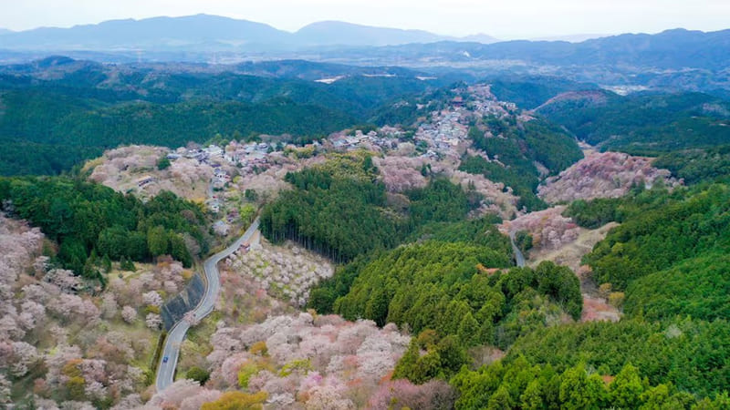 Yoshino Town
