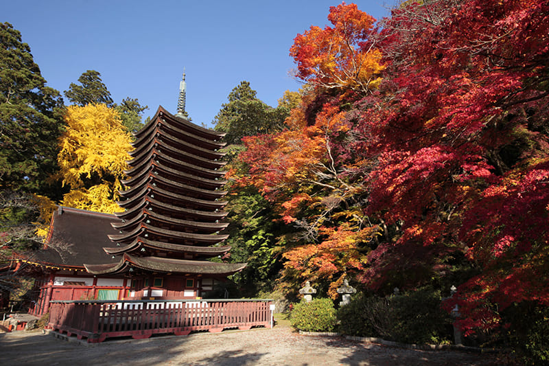 Sakurai City