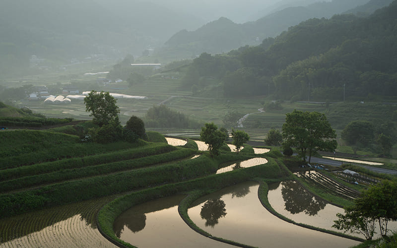 Asuka Village