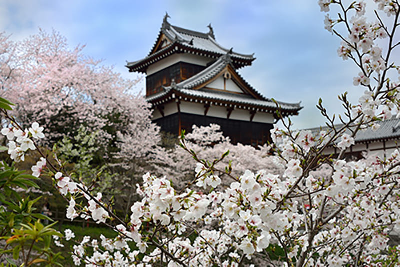 Yamatokoriyama City