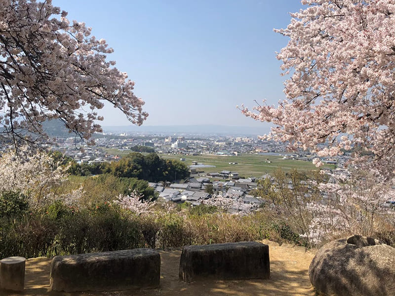 甘樫丘