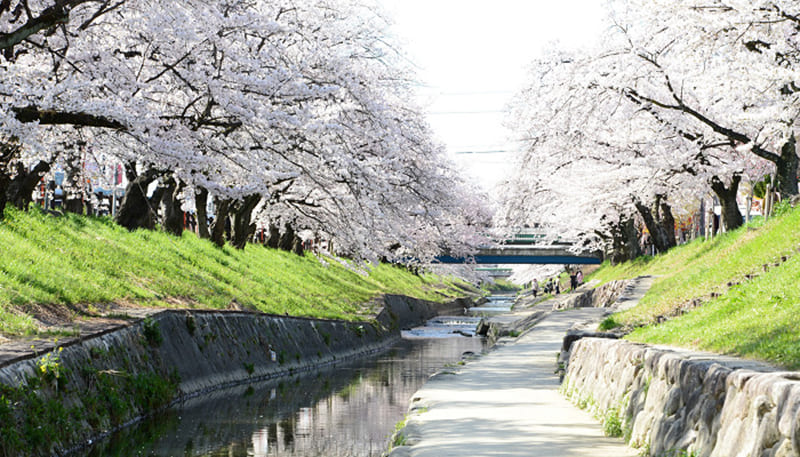Yamatotakada City