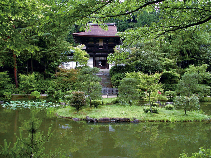 Oyagyu Town