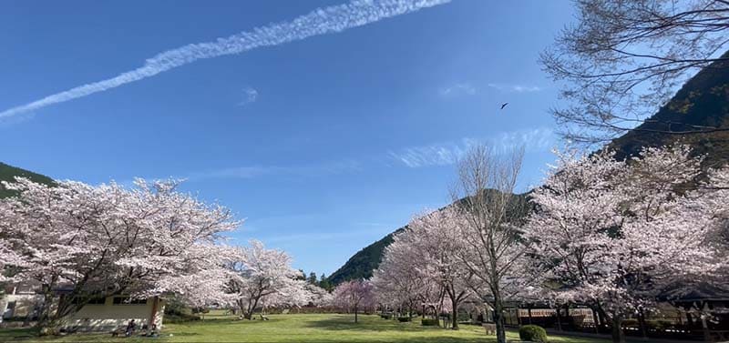 สวนโอกุโทโระ