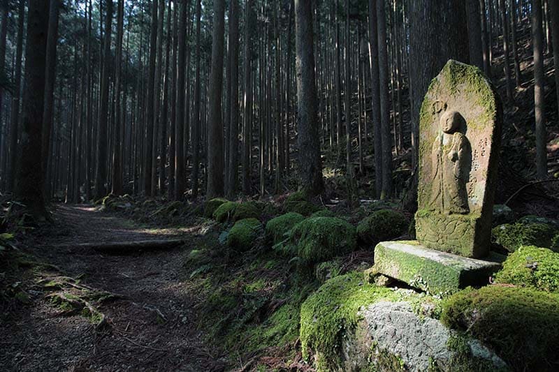 Ogumotorigoe Trail