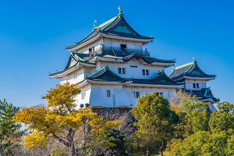 Wakayama City