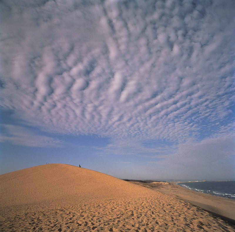 Tottori Prefecture