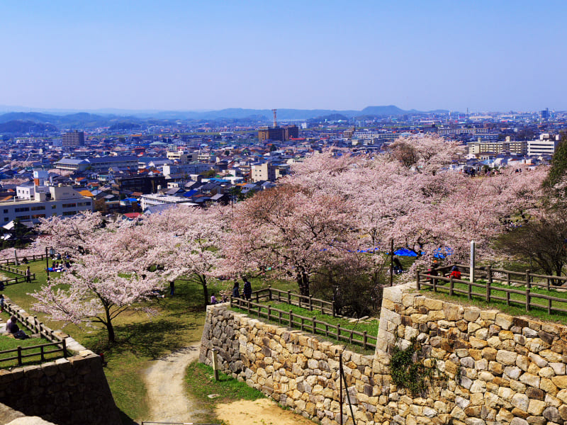 鳥取城跡・久松公園