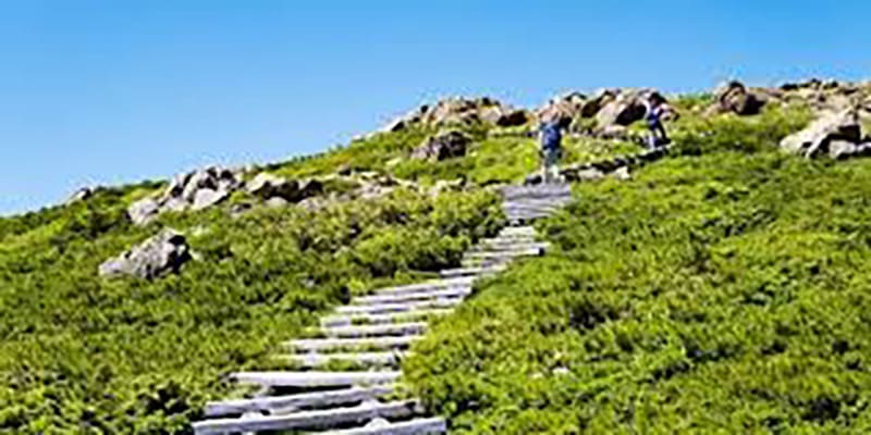 県立鳥取砂丘オアシス広場