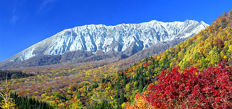 Daisen Town