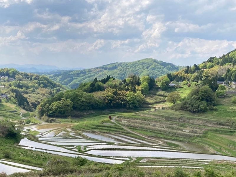 Misaki Town
