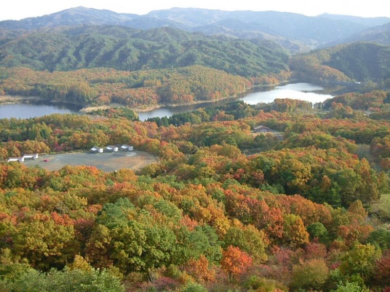 恩原高原