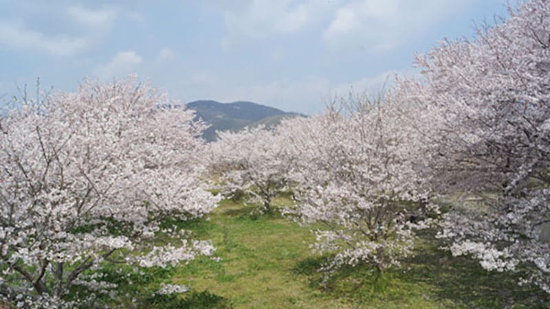百间川潺潺广场