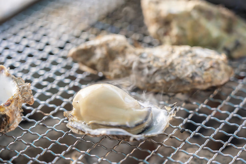 Shimada Suisan Oyster Hut