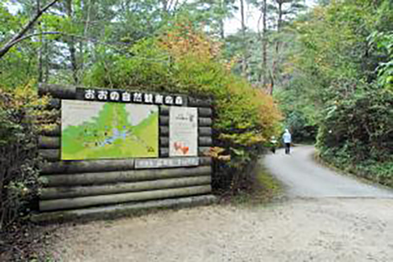 Ono Nature Observation Forest