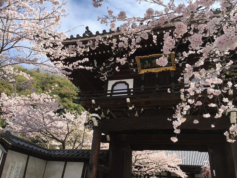 Shorenji Temple