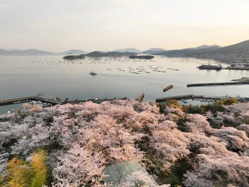 สวนโชฟุคุจิยามะ