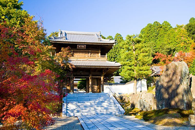 Shunan City