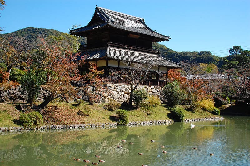 Kin-unkaku