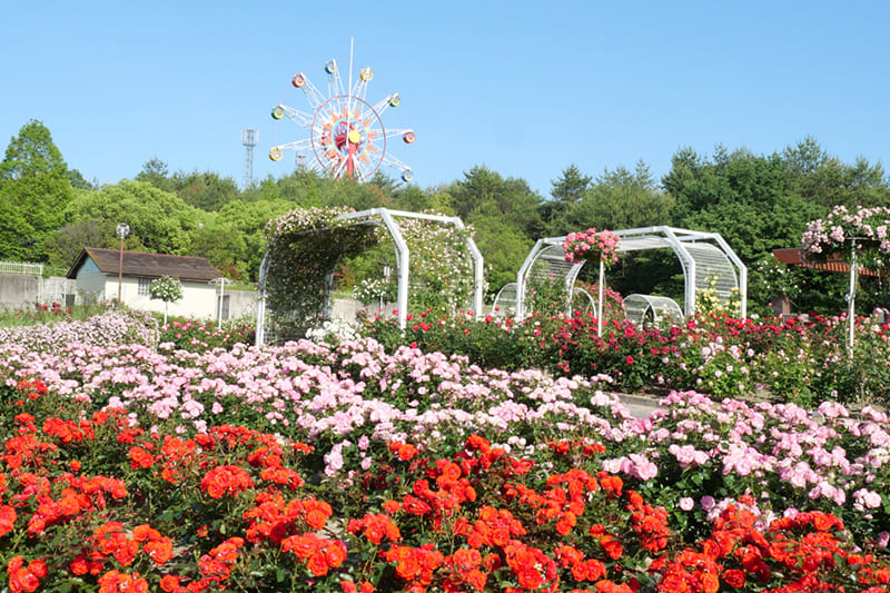 Hachigamine General Park