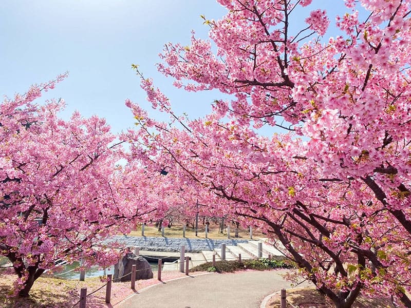 친수 공원