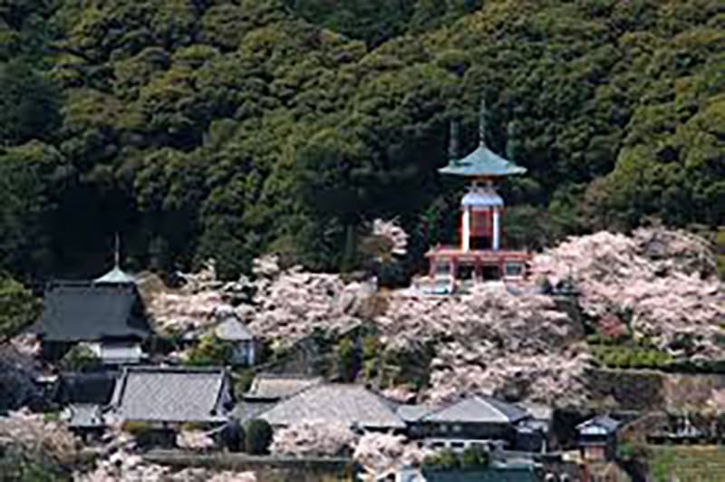 Yakuoji Temple