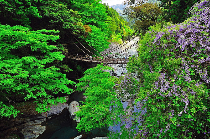 Nishi-Iya Village