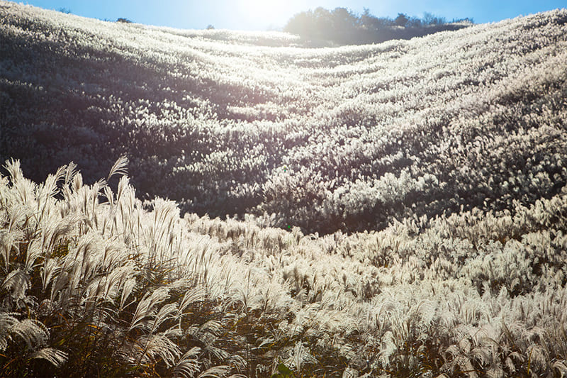 Shiozuka Plateau