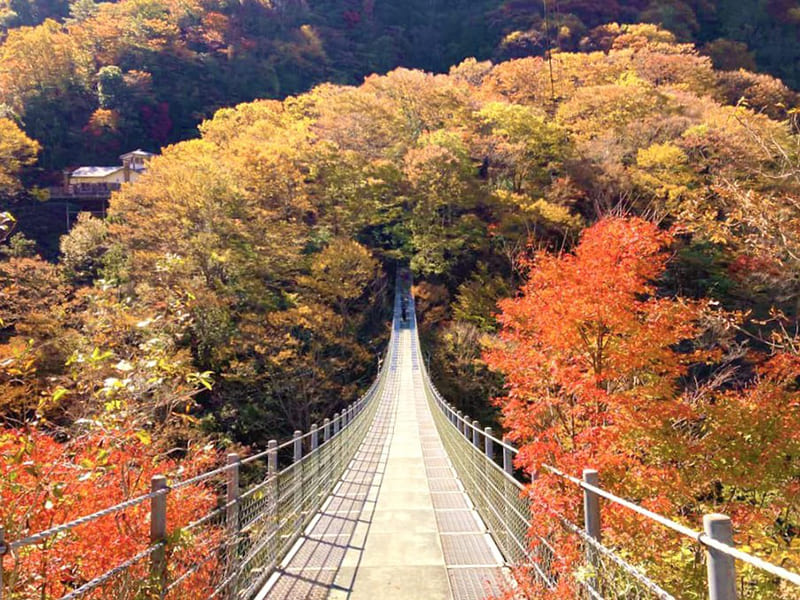 Ryugugake Park