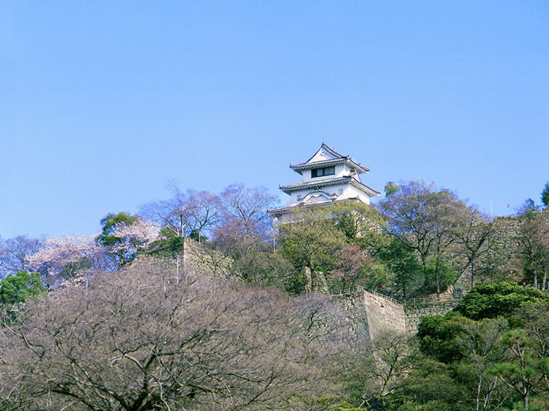 Marugame Castle