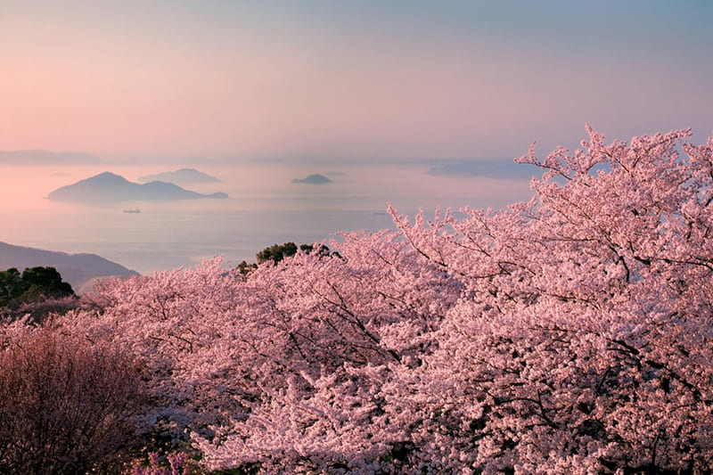 시우데야마