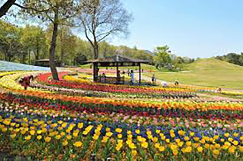 Higashikagawa City